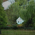 Spring Rain by Gordon Beck Spring Rain by Gordon Beck