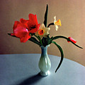 Spring Still Life by Steve Karol Spring Still Life by Steve Karol