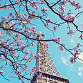 Springtime in Paris - Eiffel Tower Photograph Photograph by Melanie Alexandra Price Springtime in Paris - Eiffel Tower Photograph Photograph by Melanie Alexandra Price
