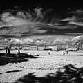 St. Petersburg. Infrared Photograph by Dmitry Soloviev St. Petersburg. Infrared Photograph by Dmitry Soloviev