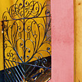 St. Thomas Gate by Debbi Granruth St. Thomas Gate by Debbi Granruth