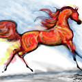 Staceys Arabian Horse Digital Art by Stacey Mayer Staceys Arabian Horse Digital Art by Stacey Mayer