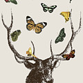 Stag And Butterflies by Eclectic at HeART Stag And Butterflies by Eclectic at HeART