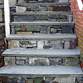 Stairs To The Plague House by RC DeWinter Stairs To The Plague House by RC DeWinter