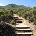 Stairway to Heaven on Mt Tamalpais Photograph by Ben Upham III Stairway to Heaven on Mt Tamalpais Photograph by Ben Upham III