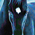 Stallion Digital Art by Rafael Salazar Stallion Digital Art by Rafael Salazar