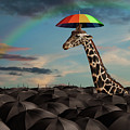 Stand Out From The Crowd by Martin Williams Stand Out From The Crowd by Martin Williams