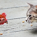 Standoff Photograph by Jan Gelders