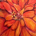 Star Flower Drawing by Vonda Lawson-Rosa Star Flower Drawing by Vonda Lawson-Rosa
