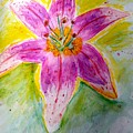 Stargazer Lily in the Garden Painting by Stacie Siemsen Stargazer Lily in the Garden Painting by Stacie Siemsen