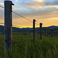 Star Valley Photograph by Chad Dutson Star Valley Photograph by Chad Dutson