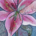 Stargazer II by Shadia Derbyshire Stargazer II by Shadia Derbyshire