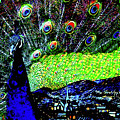 Starry Peacock Night by Wingsdomain Art and Photography Starry Peacock Night by Wingsdomain Art and Photography