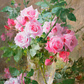 Still life of roses in a glass vase Painting by Frans Mortelmans Still life of roses in a glass vase Painting by Frans Mortelmans