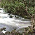 Stream below Torc Waterfall Killarney National Park Photograph by WAZgriffin Digital Stream below Torc Waterfall Killarney National Park Photograph by WAZgriffin Digital