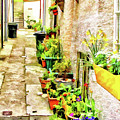 Stromness Alley Photograph by Monroe Payne Stromness Alley Photograph by Monroe Payne