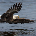 Success  Photograph by Rudy Viereckl