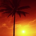 Summer by The Sea by Steve DaPonte Summer by The Sea by Steve DaPonte