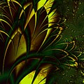 Summer Frenzy by Amanda Moore Summer Frenzy by Amanda Moore