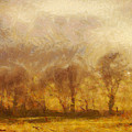 Summer landscape Painting by Dimitar Hristov Summer landscape Painting by Dimitar Hristov