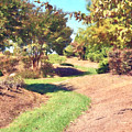 Summer Landscaping Nature Photograph by Phil Perkins Summer Landscaping Nature Photograph by Phil Perkins