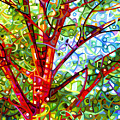 Summer Medley Painting by Mandy Budan Summer Medley Painting by Mandy Budan