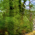 Summer rain Photograph by Tatiana Travelways Summer rain Photograph by Tatiana Travelways