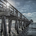 Sun And Fun In Naples Florida by Judy Hall-Folde Sun And Fun In Naples Florida by Judy Hall-Folde