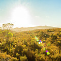 Sun Flare Prairie by Jorgo Photography - Wall Art Gallery Sun Flare Prairie by Jorgo Photography - Wall Art Gallery