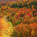 Sun peeking through Photograph by Jeff Folger Sun peeking through Photograph by Jeff Folger