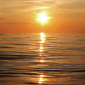 Sun setting over calm waters Photograph by Nicklas Gustafsson Sun setting over calm waters Photograph by Nicklas Gustafsson