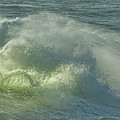 Sun Stroked Photograph by Bill Posner
