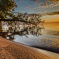 Sunday Sunrise Photograph by Joe Holley Sunday Sunrise Photograph by Joe Holley