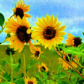Sunflower Along the Road Painting by Mitchell R Grosky Sunflower Along the Road Painting by Mitchell R Grosky