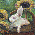 Sunflower Basket Surprise by Nadine Rippelmeyer Sunflower Basket Surprise by Nadine Rippelmeyer