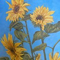 Sunflower by Travis Day Sunflower by Travis Day