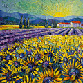 SUNFLOWERS AND LAVENDER FIELD - THE COLORS OF PROVENCE Modern Impressionist Palette Knife Painting Painting by Mona Edulesco SUNFLOWERS AND LAVENDER FIELD - THE COLORS OF PROVENCE Modern Impressionist Palette Knife Painting Painting by Mona Edulesco