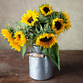 Sunflowers Photograph by Nailia Schwarz Sunflowers Photograph by Nailia Schwarz