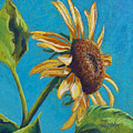 Sunflower's Shine by Tracy L Teeter