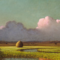 Sunlight and Shadow The Newbury Marshes, from 1871-1875 Painting by Martin Johnson Heade Sunlight and Shadow The Newbury Marshes, from 1871-1875 Painting by Martin Johnson Heade