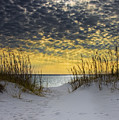 Sunlit Passage Photograph by Janet Fikar Sunlit Passage Photograph by Janet Fikar