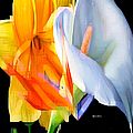 Sunny Bouquet Digital Art by Rafael Salazar Sunny Bouquet Digital Art by Rafael Salazar