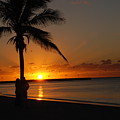 Sunrise in Key West FL by Susanne Van Hulst Sunrise in Key West FL by Susanne Van Hulst