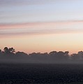 Sunrise on the mists Photograph by Peggy King