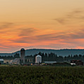 Sunrise Over Farmland Photograph by Linda Ryma
