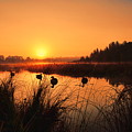 Sunrise Waterfowl Hunt Photograph by Dale Kauzlaric Sunrise Waterfowl Hunt Photograph by Dale Kauzlaric