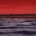 FLORIDA Sunset over Gulf of Mexico Photograph by Melanie Viola