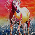 Sunset Horse by Maria Barry
