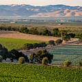 Sunset in Salinas Valley Photograph by Derek Dean Sunset in Salinas Valley Photograph by Derek Dean