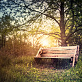 Sunset On A Wooden Bench by Scott Norris Sunset On A Wooden Bench by Scott Norris